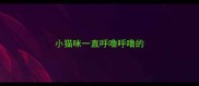 小猫咪一直呼噜呼噜的