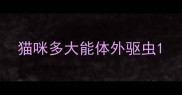 猫咪多大能体外驱虫