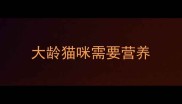 大龄猫咪需要营养