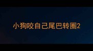 小狗咬自己尾巴转圈