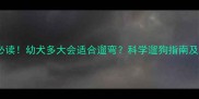 宠物主人必读幼犬多大会适合遛弯科学遛狗指南及注意事项