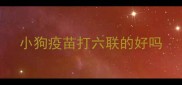 小狗疫苗打六联的好吗
