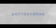 金毛打了疫苗大便有血丝