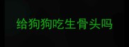给狗狗吃生骨头吗