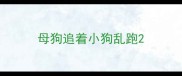 母狗追着小狗乱跑