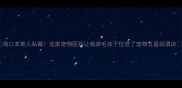 海口本地人私藏这家宠物医院让我家毛孩子住进了宠物五星级酒店