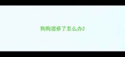 狗狗湿疹了怎么办
