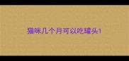 猫咪几个月可以吃罐头