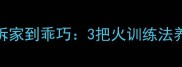 哈士奇从小拆家到乖巧3把火训练法养成满分伴侣犬