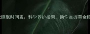 泰迪幼犬睡眠时间表科学养护指南助你掌握黄金睡眠周期