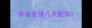 泰迪发情几天配狗