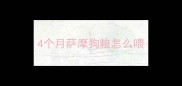 4个月萨摩狗粮怎么喂