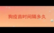 狗疫苗时间隔多久
