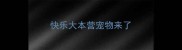 快乐大本营宠物来了