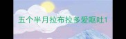 五个半月拉布拉多爱呕吐