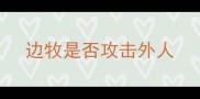 边牧是否攻击外人