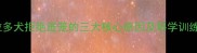 拉布拉多犬拒绝进笼的三大核心原因及科学训练方案