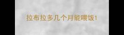 拉布拉多几个月能喂饭