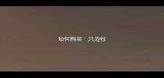如何购买一只边牧