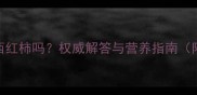 边牧可以吃西红柿吗权威解答与营养指南附安全清单