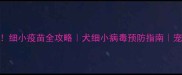 幼犬必看细小疫苗全攻略犬细小病毒预防指南宠物主人必读