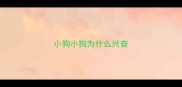 小狗小狗为什么兴奋