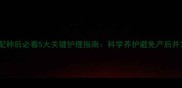 母犬配种后必看5大关键护理指南科学养护避免产后并发症