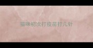 猫咪初次打疫苗打几针