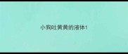 小狗吐黄黄的液体