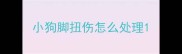 小狗脚扭伤怎么处理
