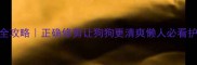 金毛剪毛全攻略正确修剪让狗狗更清爽懒人必看护理指南
