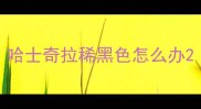 哈士奇拉稀黑色怎么办