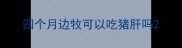 四个月边牧可以吃猪肝吗