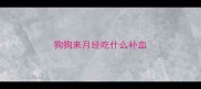 狗狗来月经吃什么补血