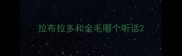 拉布拉多和金毛哪个听话