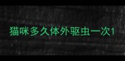 猫咪多久体外驱虫一次