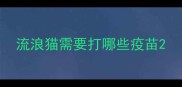 流浪猫需要打哪些疫苗