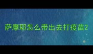 萨摩耶怎么带出去打疫苗