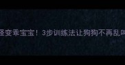 教you拆家怪变乖宝宝3步训练法让狗狗不再乱叫附案例