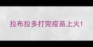 拉布拉多打完疫苗上火