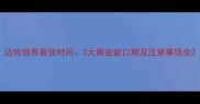 边牧领养最佳时间3大黄金窗口期及注意事项全
