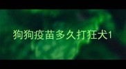 狗狗疫苗多久打狂犬