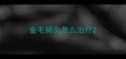 金毛肺炎怎么治疗
