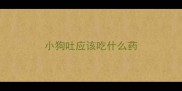 小狗吐应该吃什么药