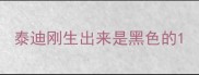 泰迪刚生出来是黑色的