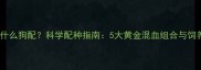 边牧能和什么狗配科学配种指南5大黄金混血组合与饲养全攻略