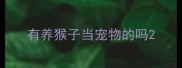 有养猴子当宠物的吗