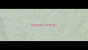 猫咪驱虫什么时候做