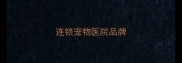 连锁宠物医院品牌