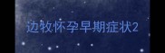边牧怀孕早期症状
